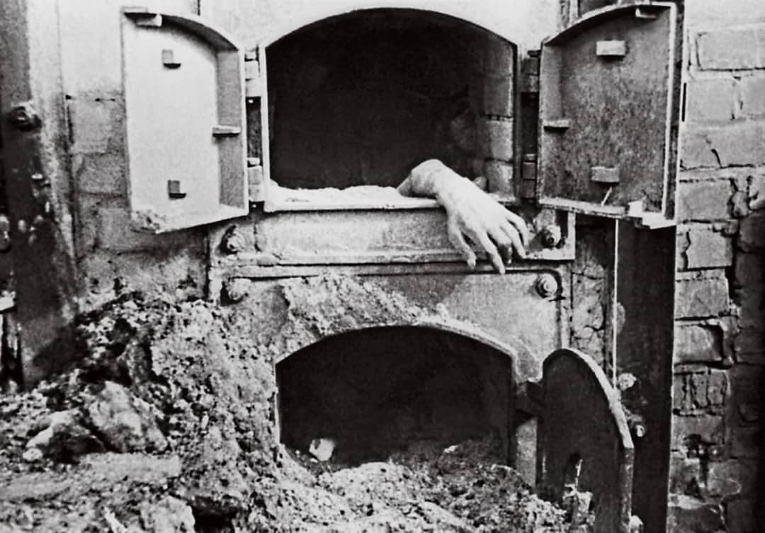 Jak wyglądały egzekucje w Auschwitz? Makabryczne świadectwa