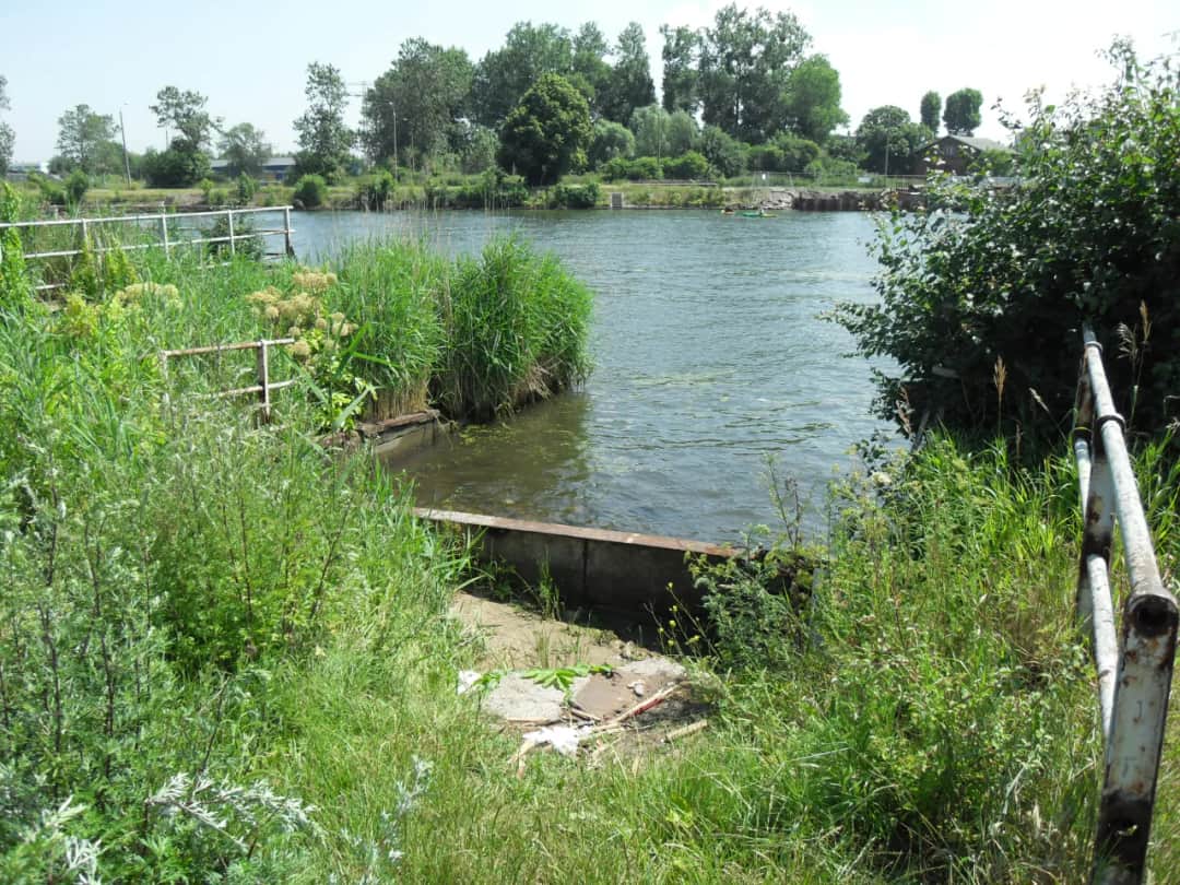 Zbigniew Prokopowicz: Tajemnice dworu w Żółwinie odkryte