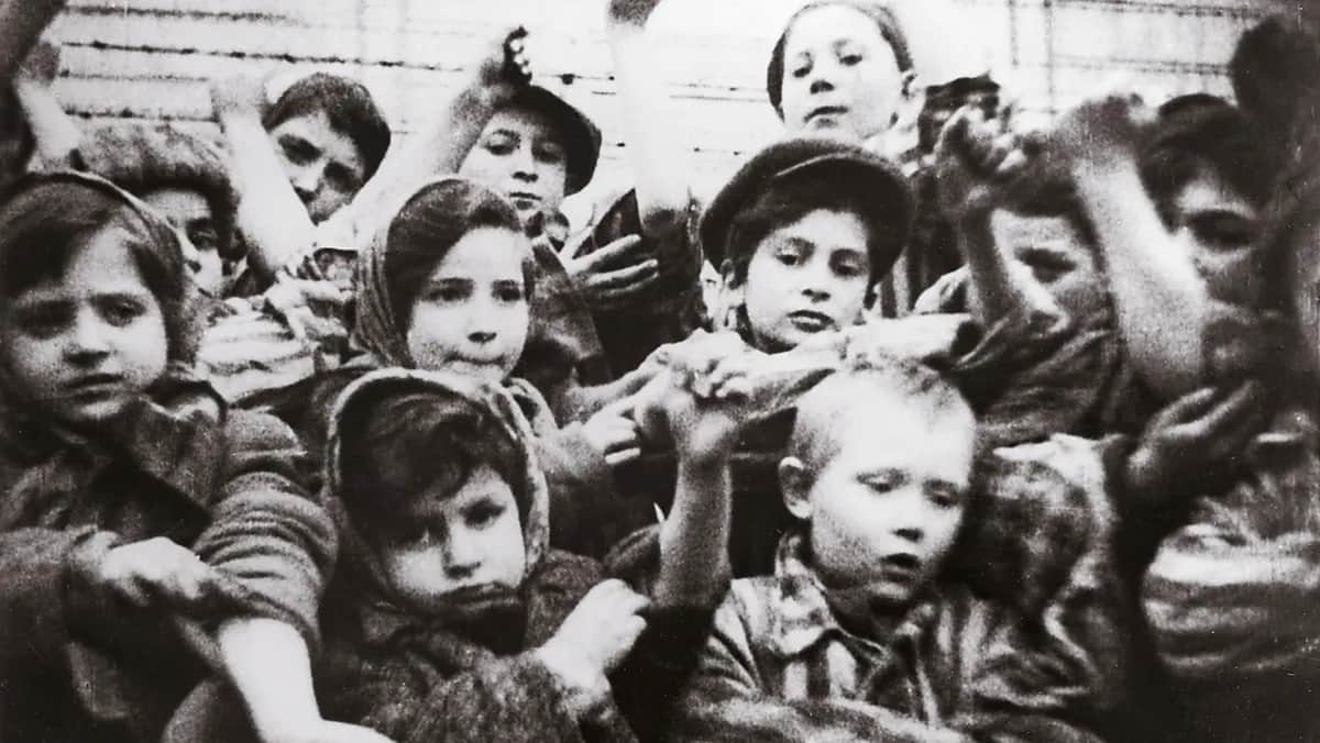 Gdzie obejrzeć film Położna z Auschwitz? Sprawdź aktualne opcje